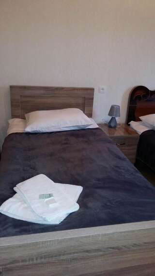 Гостевой дом Guesthouse Guram Baba Местиа Стандартный двухместный номер с 2 отдельными кроватями-5