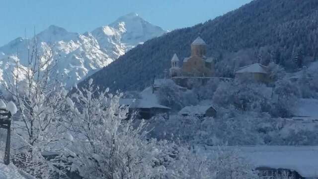 Гостевой дом Guesthouse Guram Baba Местиа-41